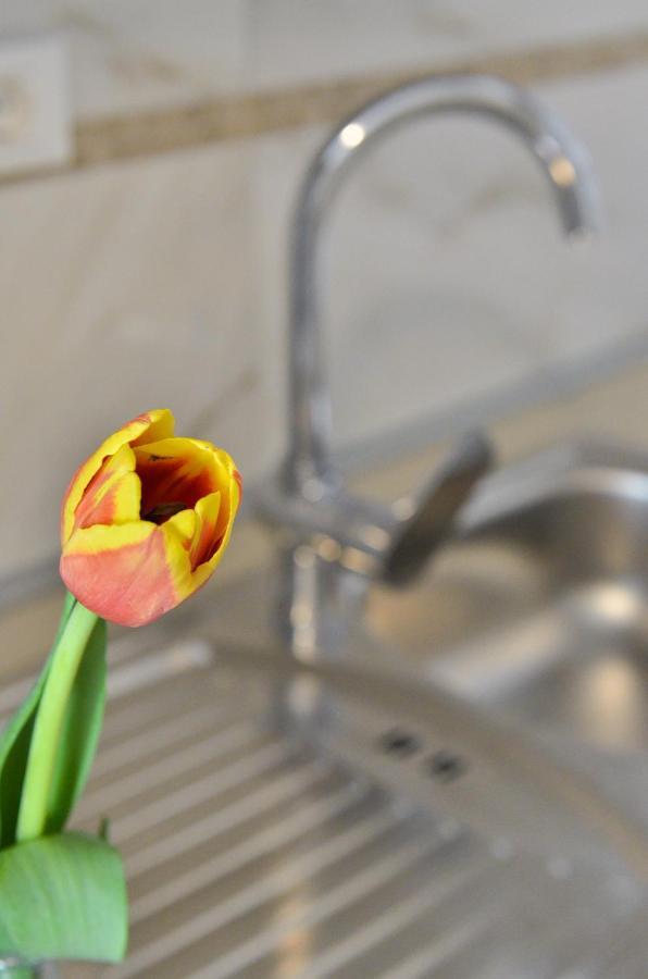 Apartmani Peric 1 Meka Draga Obrovac Zewnętrze zdjęcie